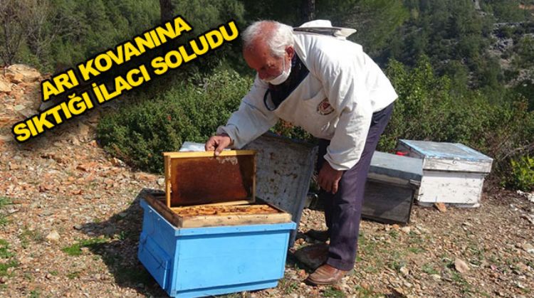 YAŞLI ADAM ARI KOVANLARINA İLAÇ SIKARKEN ZEHİRLENEREK ÖLDÜ