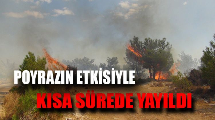 ÇALILIK ALANDA ÇIKAN YANGIN KONTROL ALTINA ALINDI