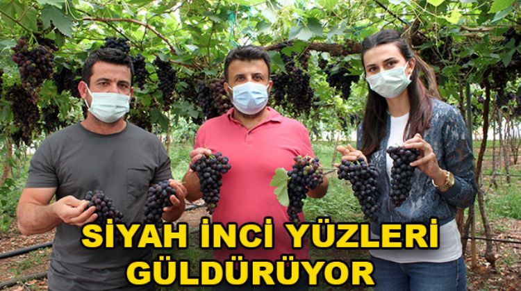 EN İYİ ÜRETİM BU YIL OLDU