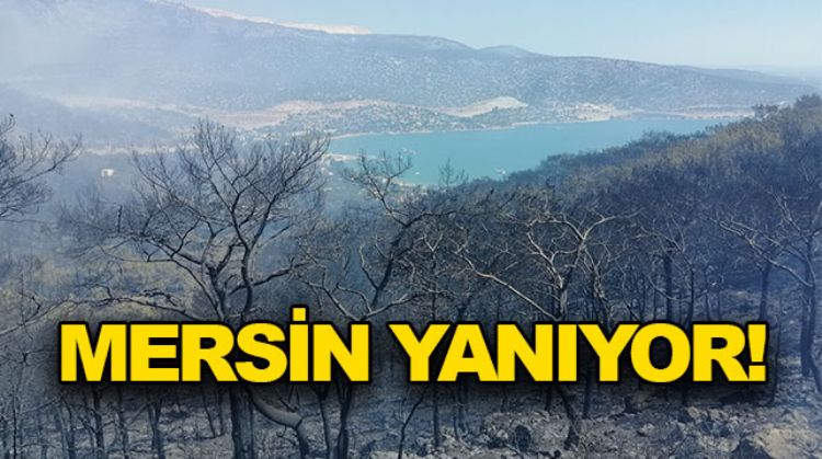 SİLİFKE’DE ORMAN YANGINI