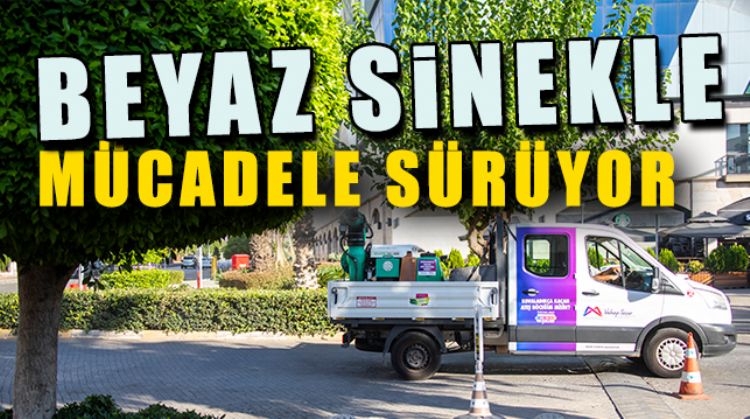 BEYAZ SİNEKLERLE MÜCADELE DEVAM EDİYOR