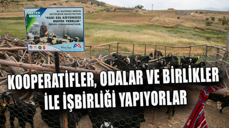 BÜYÜKŞEHİR BELEDİYESİ MERSİN’DEKİ KOOPERATİFLER İLE İŞBİRLİĞİ YAPIYOR