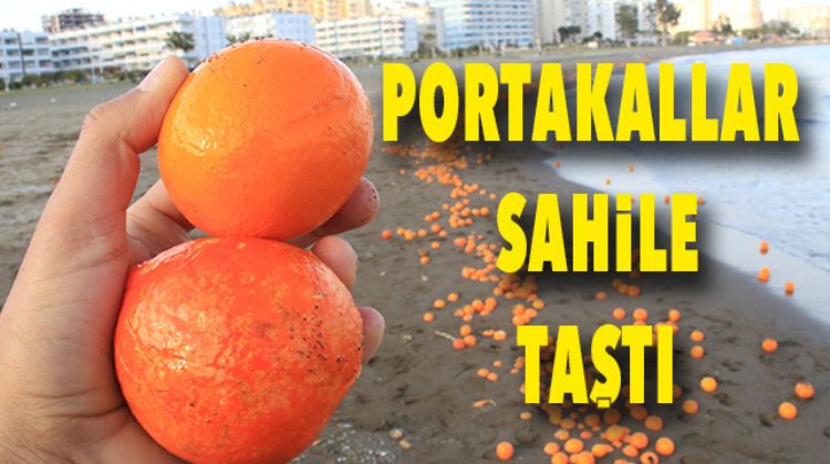 SAHİL PORTAKALLAR İLE KAPLANDI