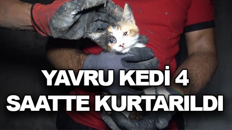 İTFAİYE EKİPLERİ YAVRU KEDİYİ KURTARDI