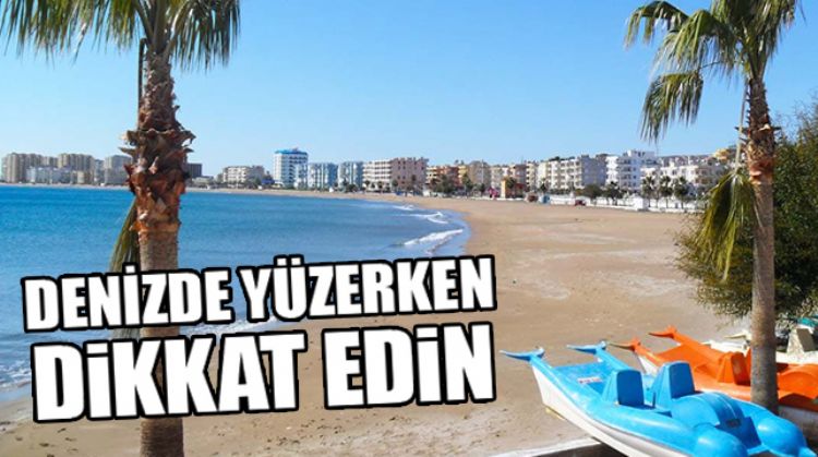 BALON BALIĞI AKDENİZ’İ MESKEN TUTTU
