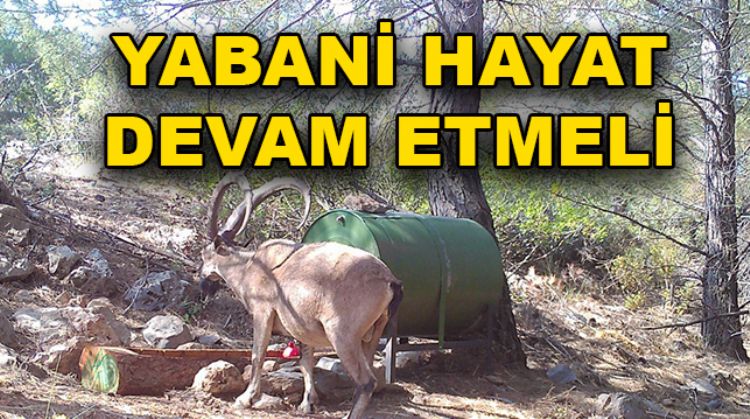 SU YALAKLARI YAPILDI