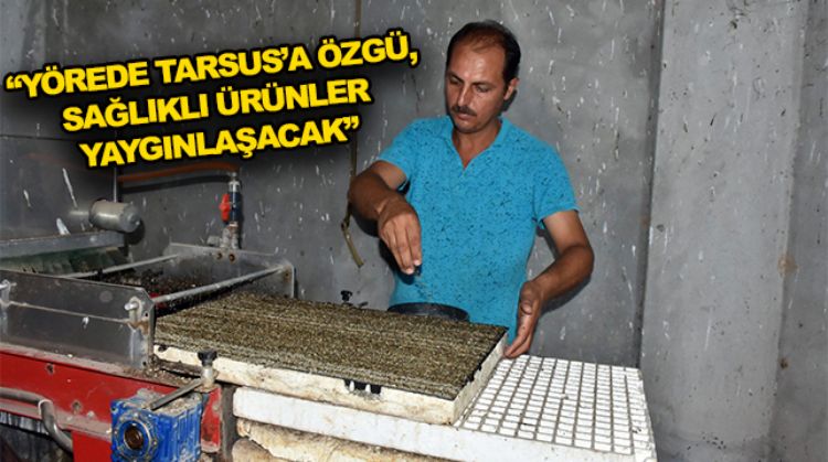 TARSUS BELEDİYESİNDEN ÜRETİCİLERE 700 BİN FİDE DESTEĞİ