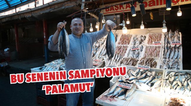 ŞAMPİYON BELLİ OLDU