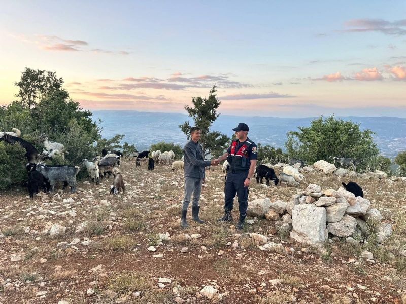 MERSİN'DE KAYIP 40 KÜÇÜKBAŞ DRONLA BULUNDU