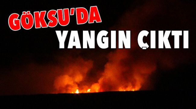 GÖKSU DELTASINDA YANGIN
