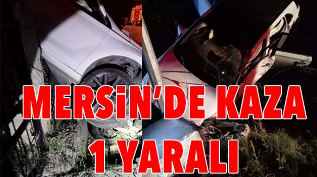 DİREKSİYON HAKİMİYETNİ KAYBEDEN SÜRÜCÜ KAZA YAPTI
