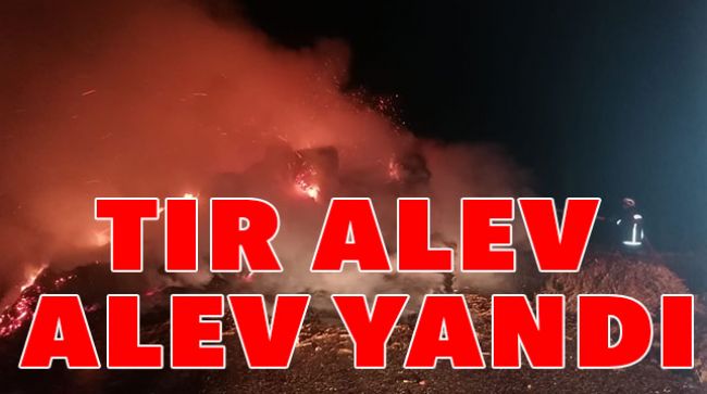 SAMAN YÜKLÜ TIR YANDI