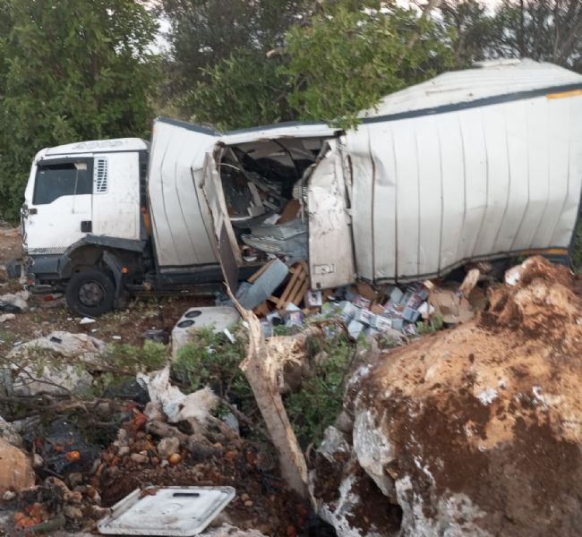 Mersin'de kamyon kazası : 2 yaralı