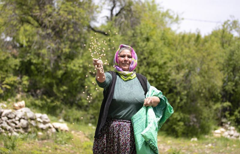 atalık-tohumlar-toprakla-buluştu,-üreticiye-can-suyu-oldu