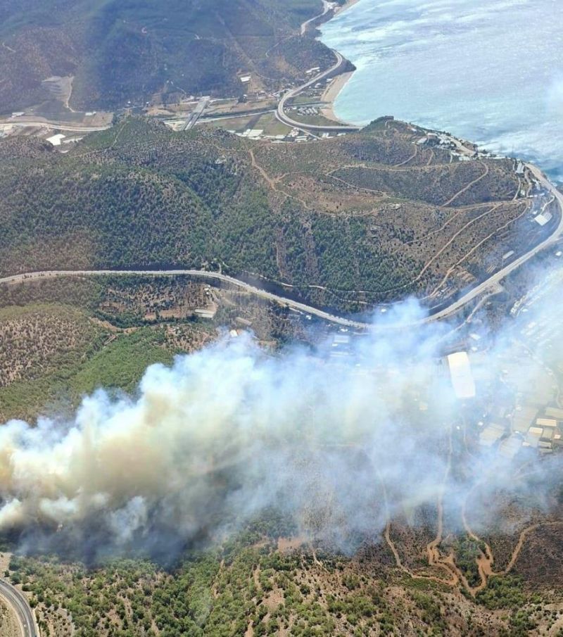 mersinde-orman-yangını:-ekipler-havadan-ve-karadan-müdahale-ediyor