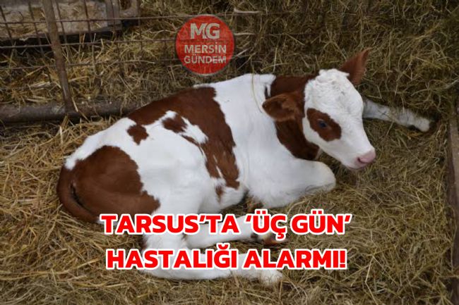 TARSUS’TA ‘ÜÇ GÜN’ HASTALIĞI ALARMI!