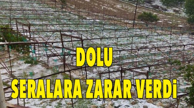 10 DAKİKA BOYUNCA YAĞDI, BAHÇELERE ZARAR VERDİ