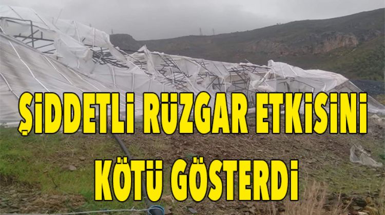 SERALAR ZARAR GÖRDÜ
