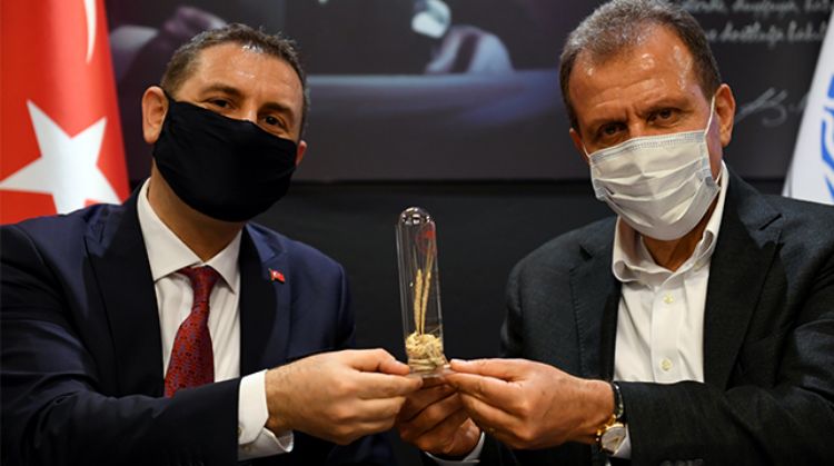 TARIMA DESTEK, NOHUT TOHUMU İLE DEVAM EDECEK