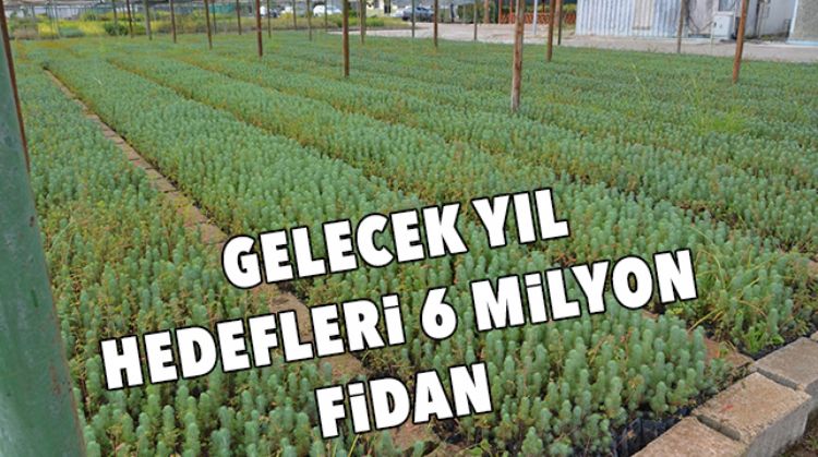 MERSİN BU SENE 5 MİLYON FİDAN ÜRETTİ