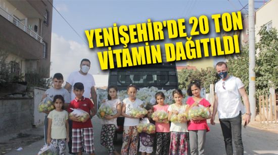 YENİŞEHİR'DE 20 TON VİTAMİN DAĞITILDI