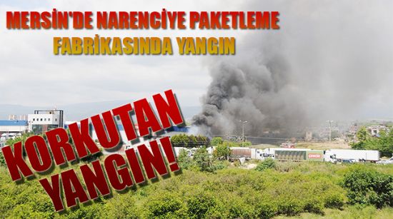 KORKUTAN YANGIN!