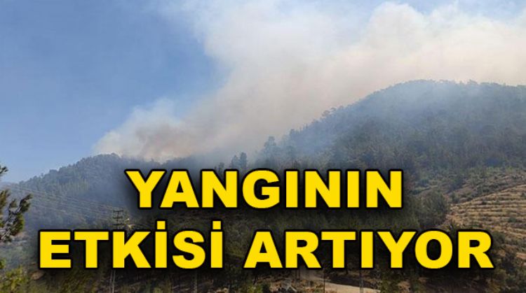 AYDINCIK’TA ORMAN YANGINI