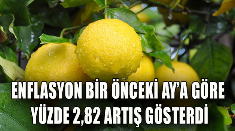 ENFLASYON MERSİN’DE 19,88’E YÜKSELDİ