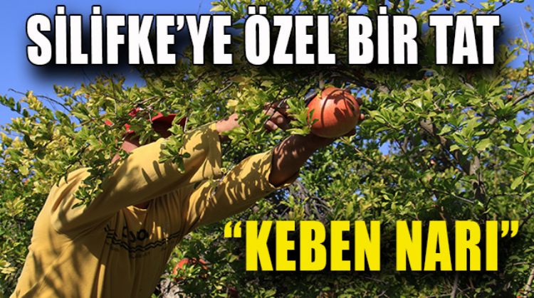BÖYLE BİR NAR GÖRÜLMEDİ