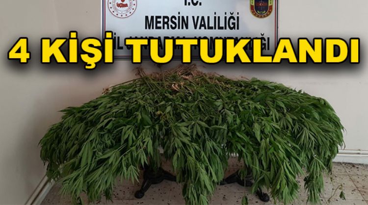 ÜÇ İLÇEDE UYUŞTURUCU OPERASYONU