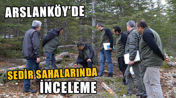 MERSİN’DE SİLVİKÜLTÜREL FAALİYETLER DEVAM EDİYOR