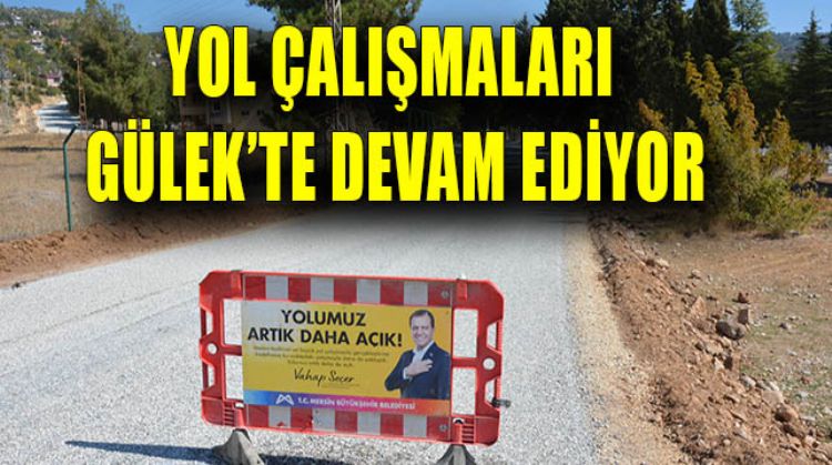 YAYLALARA ÇIKAN YOLLAR DÜZENLENİYOR