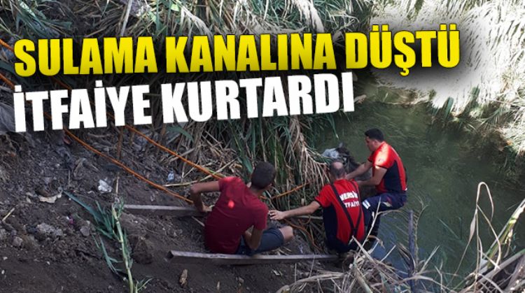 EŞEK SULAMA KANALINA DÜŞTÜ
