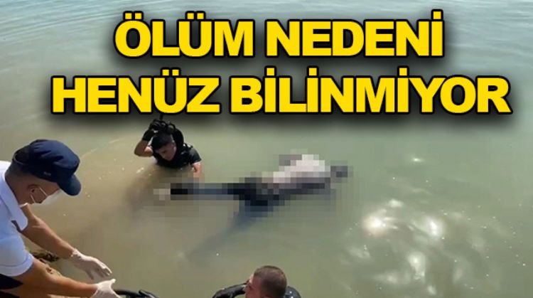 DENİZ’DE ERKEK CESEDİ BULUNDU