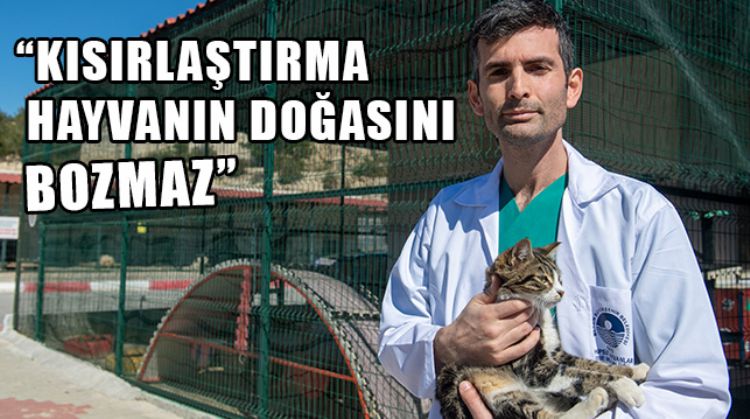 MERSİN’DE HAYVANLARDA KISIRLAŞTIRMANIN ÖNEMİNE DİKKAT ÇEKİLDİ