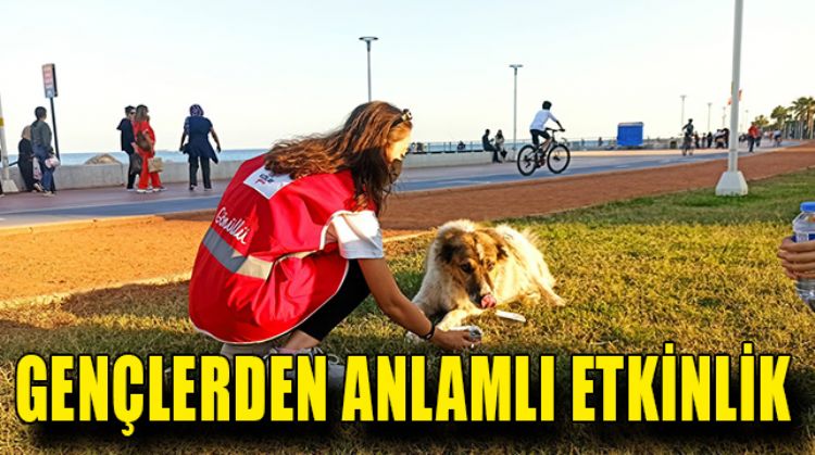 GENÇ KIZILAY TOPLULUĞU SOKAK HAYVANLARINA MAMA DAĞITTI