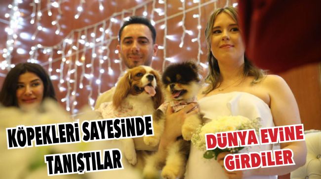 TÜRK DAMAT İLE RUS GELİNİN TANIŞMASINA VESİLE OLAN KÖPEKLERİ DE NİKAH MASASINDA YER ALDI