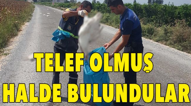 YOL ÜZERİNDE BULUNDULAR