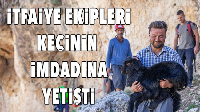KEÇİ OBRUĞA DÜŞTÜ