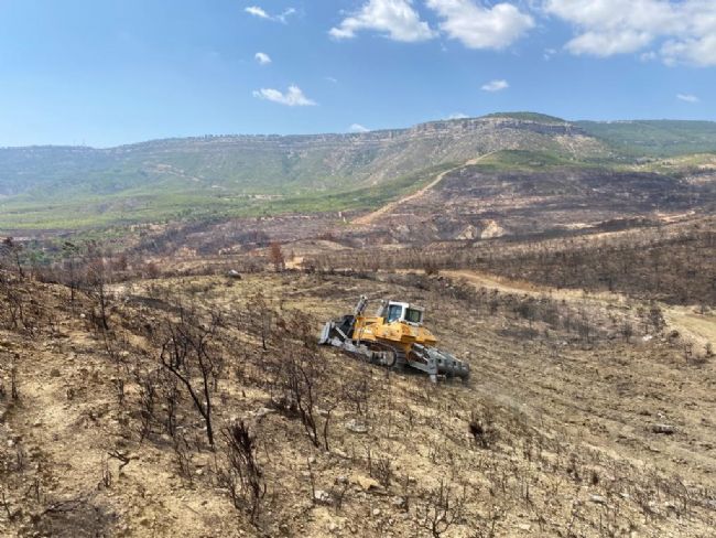 GÜLNAR'DA YANAN ORMANLIK ALANLARDA AĞAÇLANDIRMA ÇALIŞMALARINA BAŞLANDI
