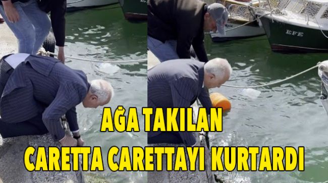 GÜLTAK AĞA TAKILAN CARETTA CARETTAYI KURTARDI