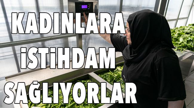 MEYVE VE SEBZELERİ GÜNEŞ ENERJİSİ İLE KURUTUYORLAR