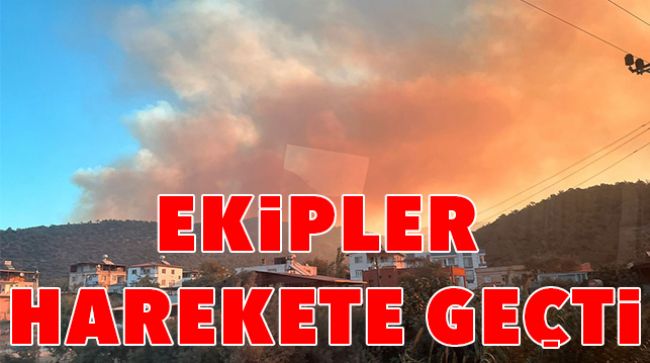 MERSİN’DE ORMAN YANGINI