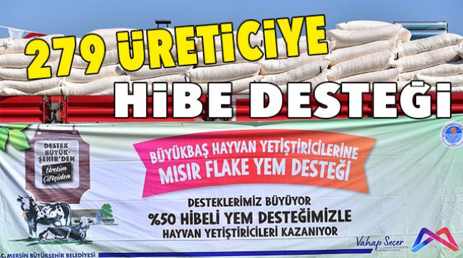YÜZDE 50 HİBELİ YEM DESTEĞİ BÜYÜKŞEHİRDEN