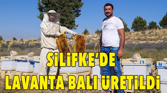 İLK KEZ LAVANTA BALI ÜRETİMİ YAPILDI