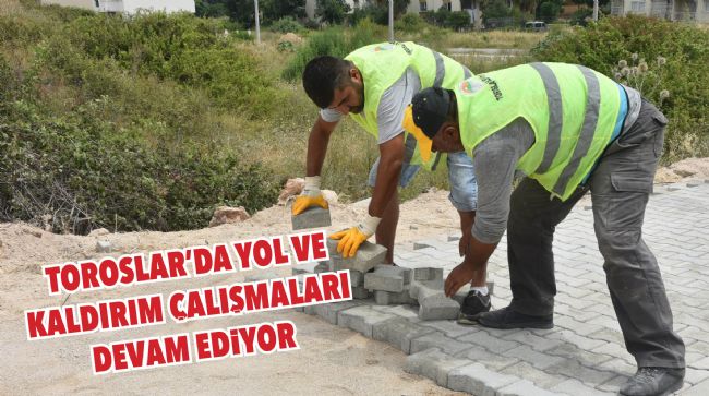 TOROSLARIN ÇEHRESİ DEĞİŞİYOR