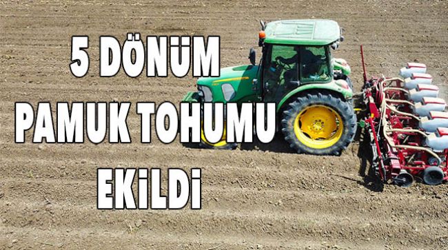 YERLİ TOHUM SEFERBERLİĞİ MEYVELERİNİ VERİYOR