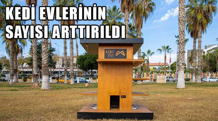 MERSİN’DE BÜYÜKŞEHİR BELEDİYESİ TARAFINDAN SAHİLDE 10 NOKTAYA KEDİ EVİ YERLEŞTİRDİ