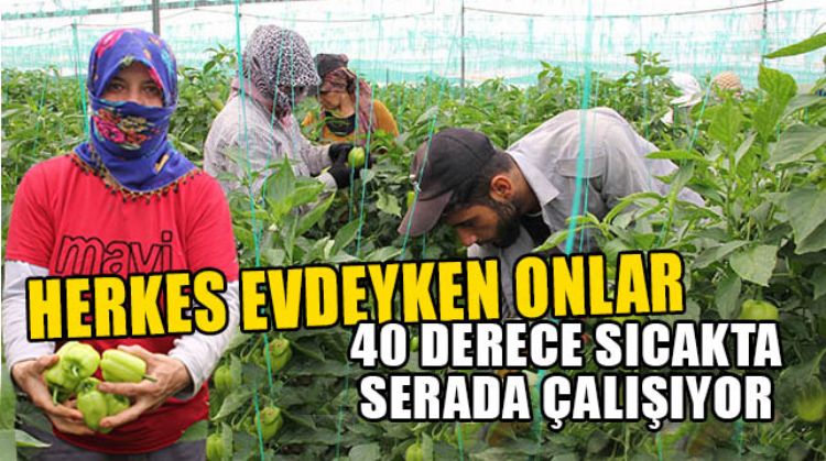 BİZLER İÇİN ÇALIŞIYORLAR