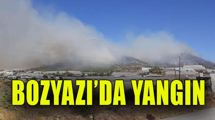 ORMAN YANGINI